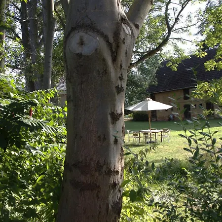 Wachsmuts Gemuetliche Bleibe Mir Alter Wandmalerei Апартаменты *